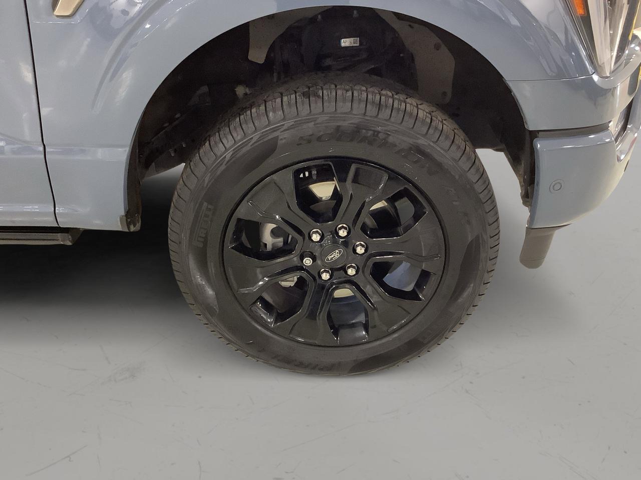 2023 Ford F-150 Platinum New Braunfels TX