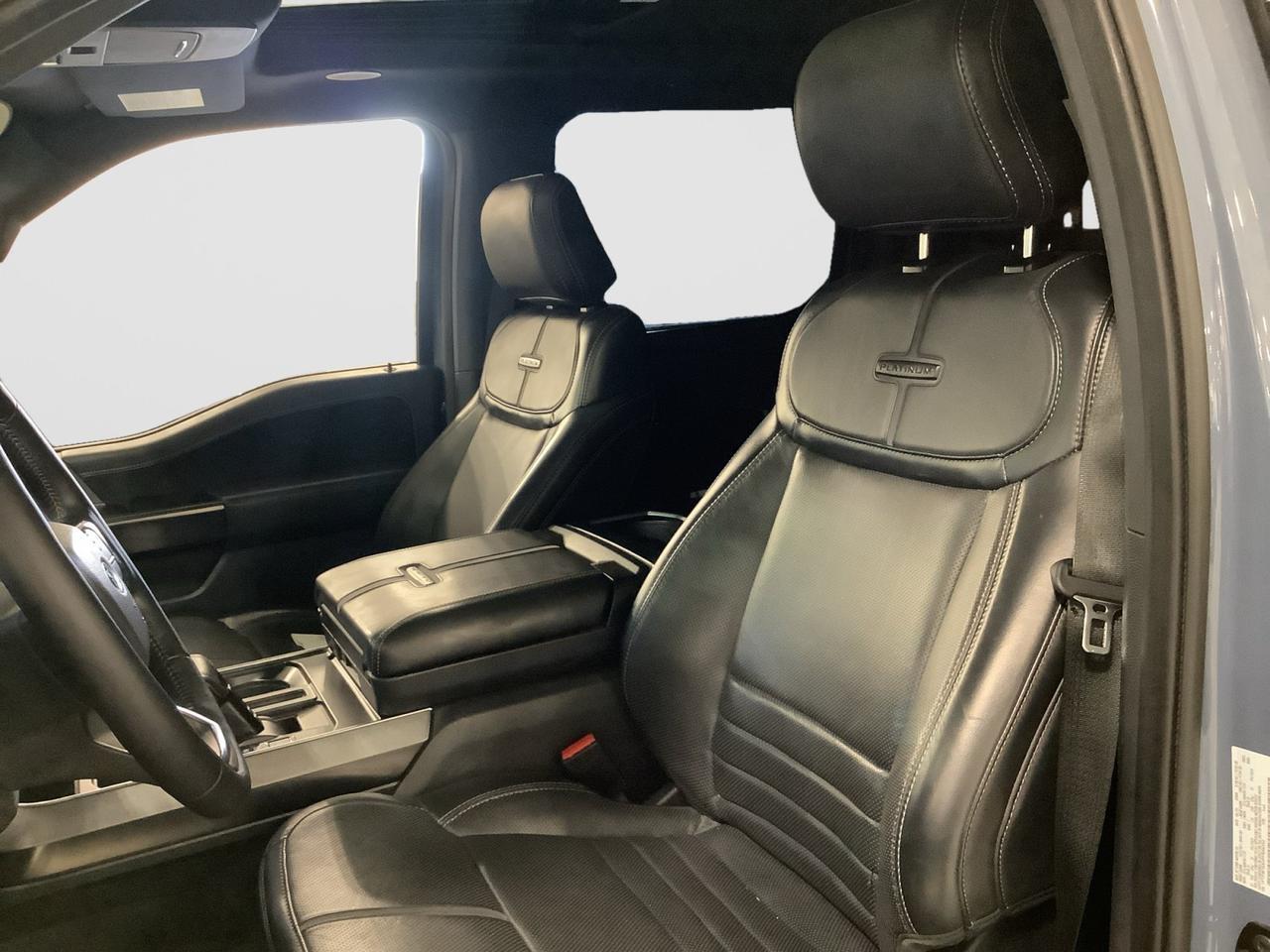 2023 Ford F-150 Platinum New Braunfels TX