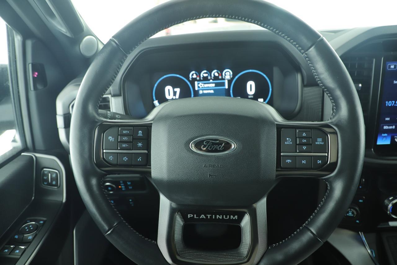 2023 Ford F-150 Platinum New Braunfels TX