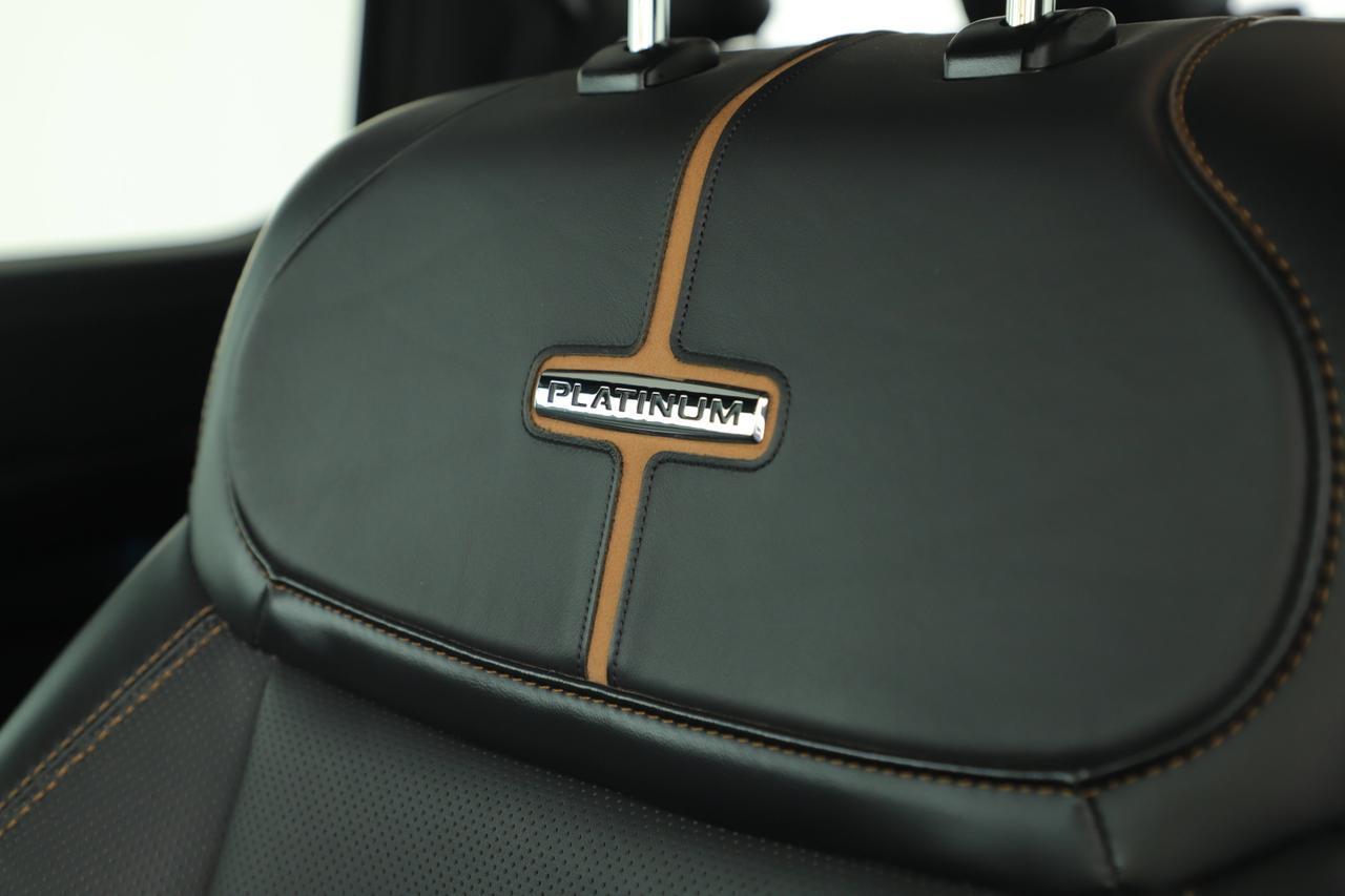 2023 Ford F-150 Platinum New Braunfels TX