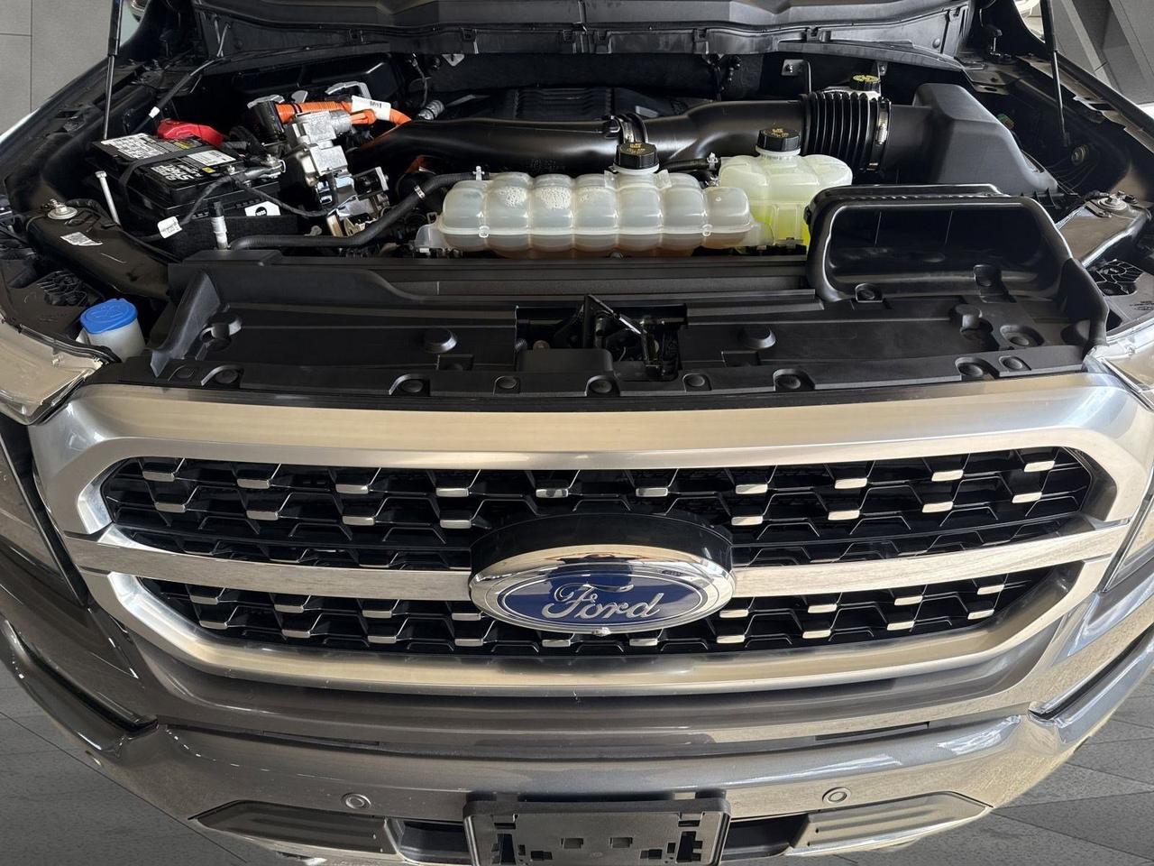 2023 Ford F-150 Platinum San Antonio TX
