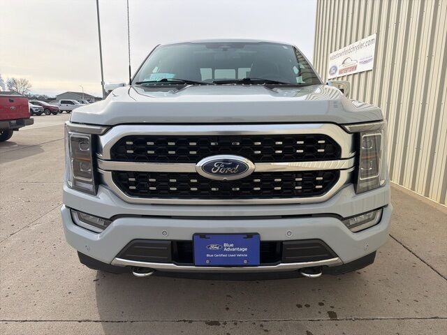 2023 Ford F-150 Platinum Watertown SD