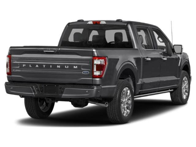 2023 Ford F-150 Platinum Winder GA
