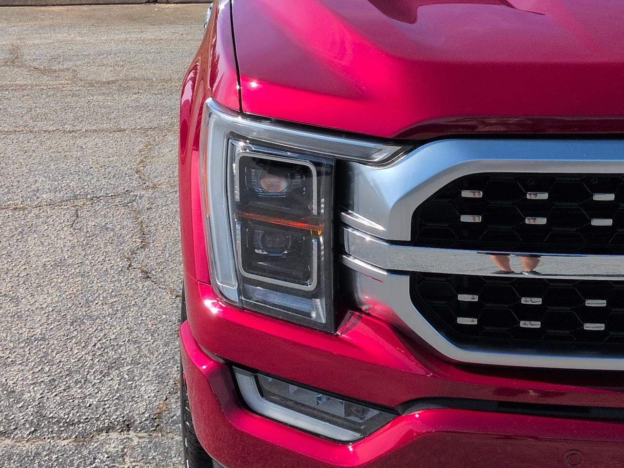2023 Ford F-150 Platinum Winder GA