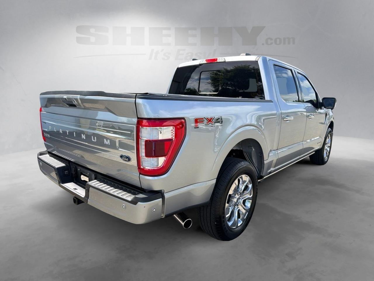 2023 Ford F-150 Platinum Ashland VA