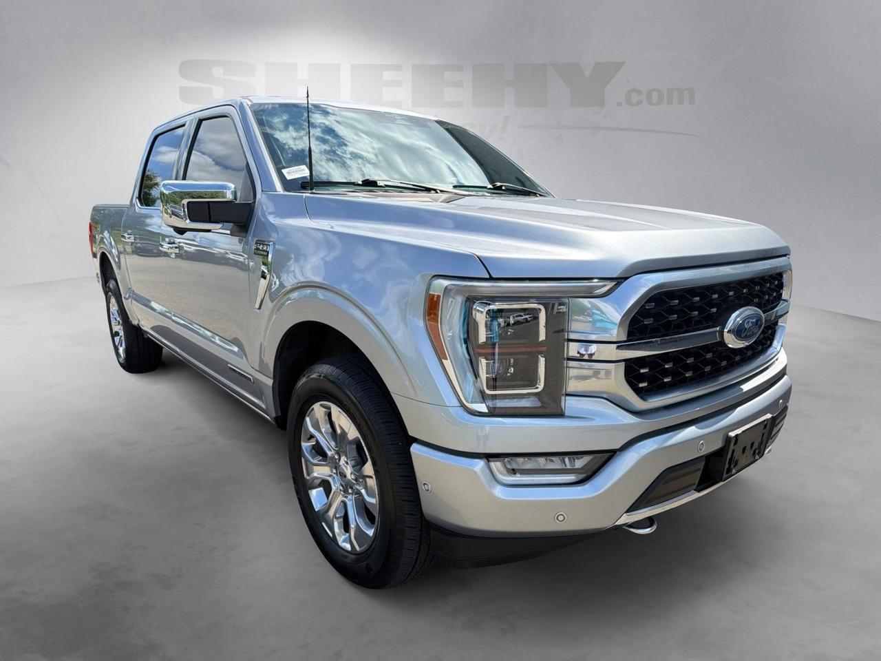 2023 Ford F-150 Platinum Ashland VA