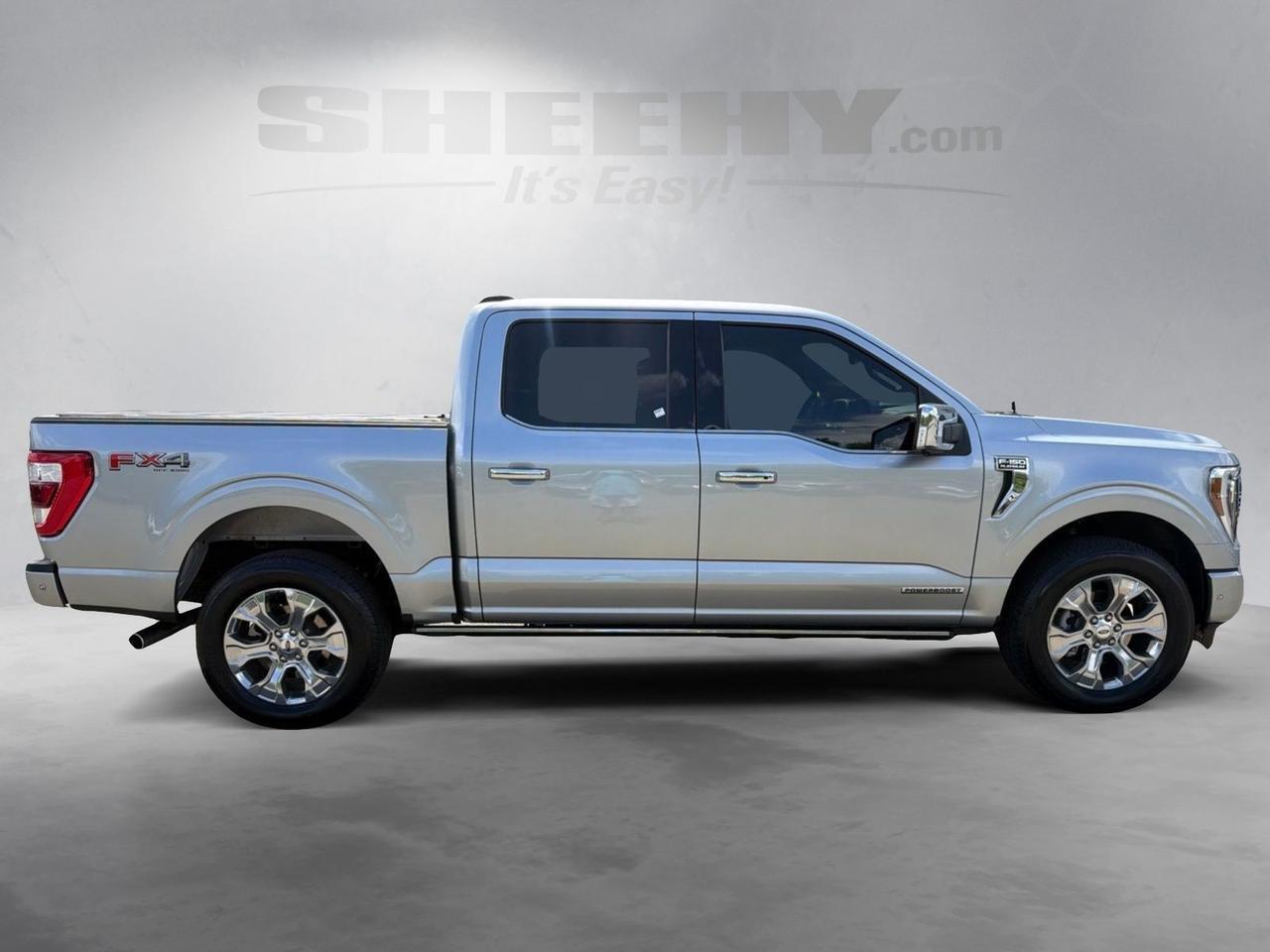 2023 Ford F-150 Platinum Ashland VA