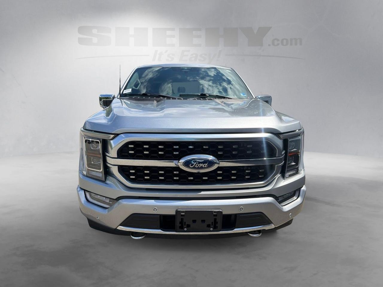 2023 Ford F-150 Platinum Ashland VA