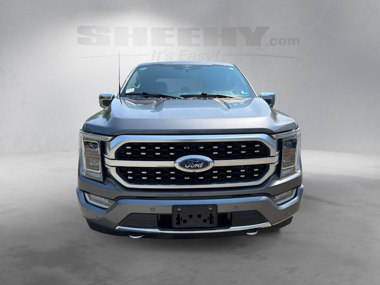 2023 Ford F-150 Platinum Ashland VA