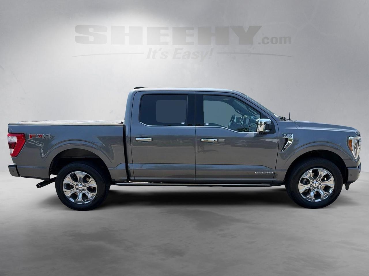 2023 Ford F-150 Platinum Ashland VA