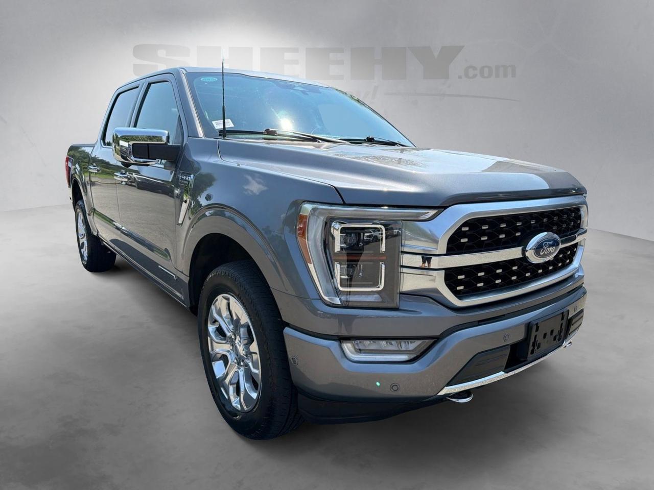 2023 Ford F-150 Platinum Ashland VA