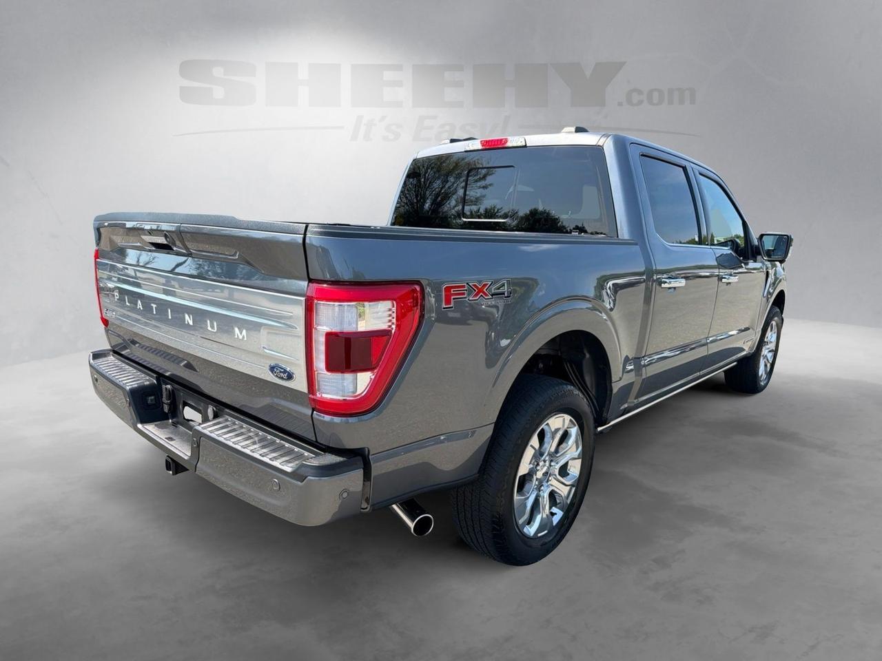 2023 Ford F-150 Platinum Ashland VA