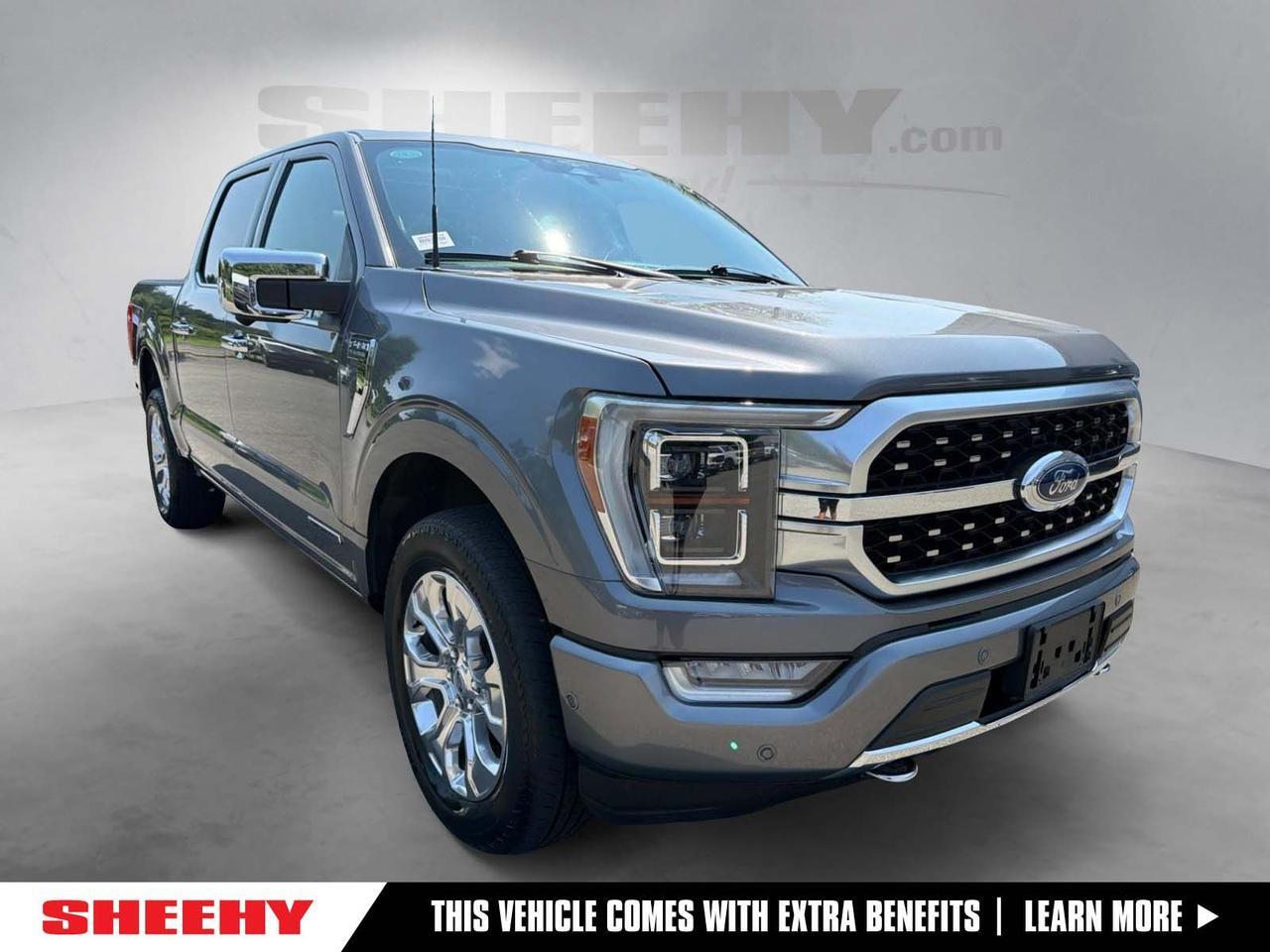 2023 Ford F-150 Platinum