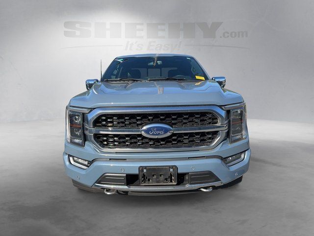 2023 Ford F-150 Platinum Gaithersburg MD