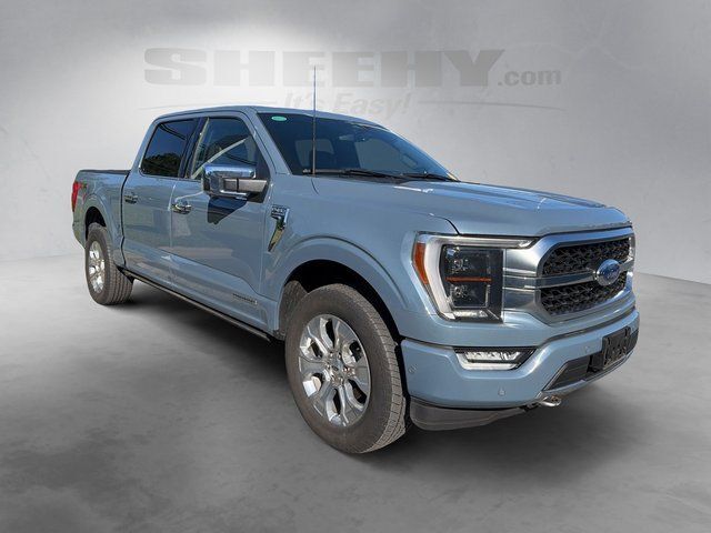 2023 Ford F-150 Platinum Gaithersburg MD