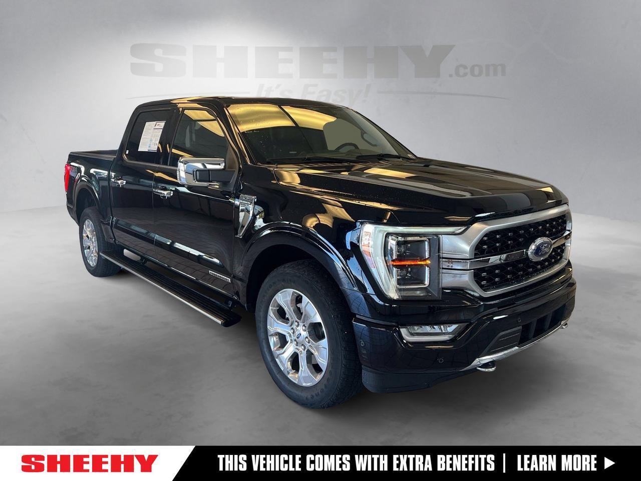 2023 Ford F-150 Platinum