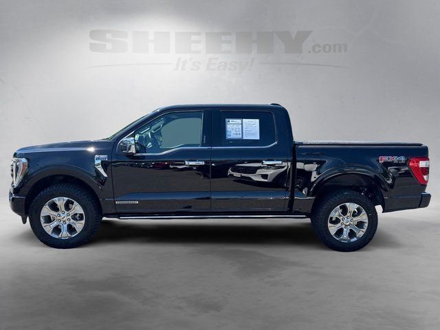 2023 Ford F-150 Platinum Warrenton VA