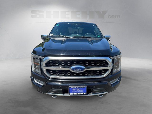 2023 Ford F-150 Platinum Warrenton VA
