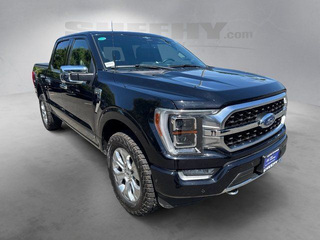2023 Ford F-150 Platinum Warrenton VA