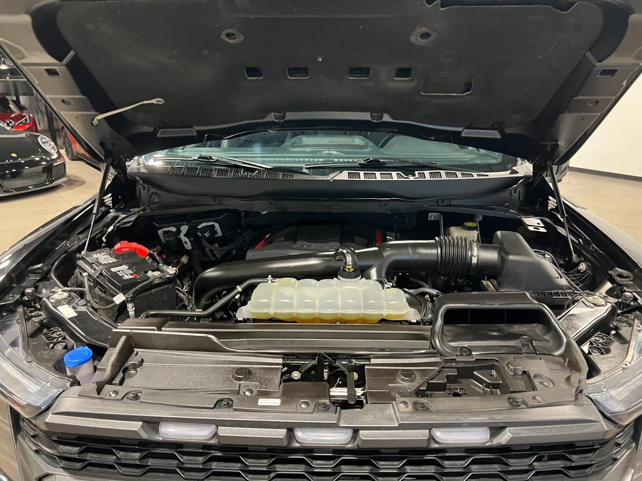 2023 Ford F-150 Raptor Parker CO