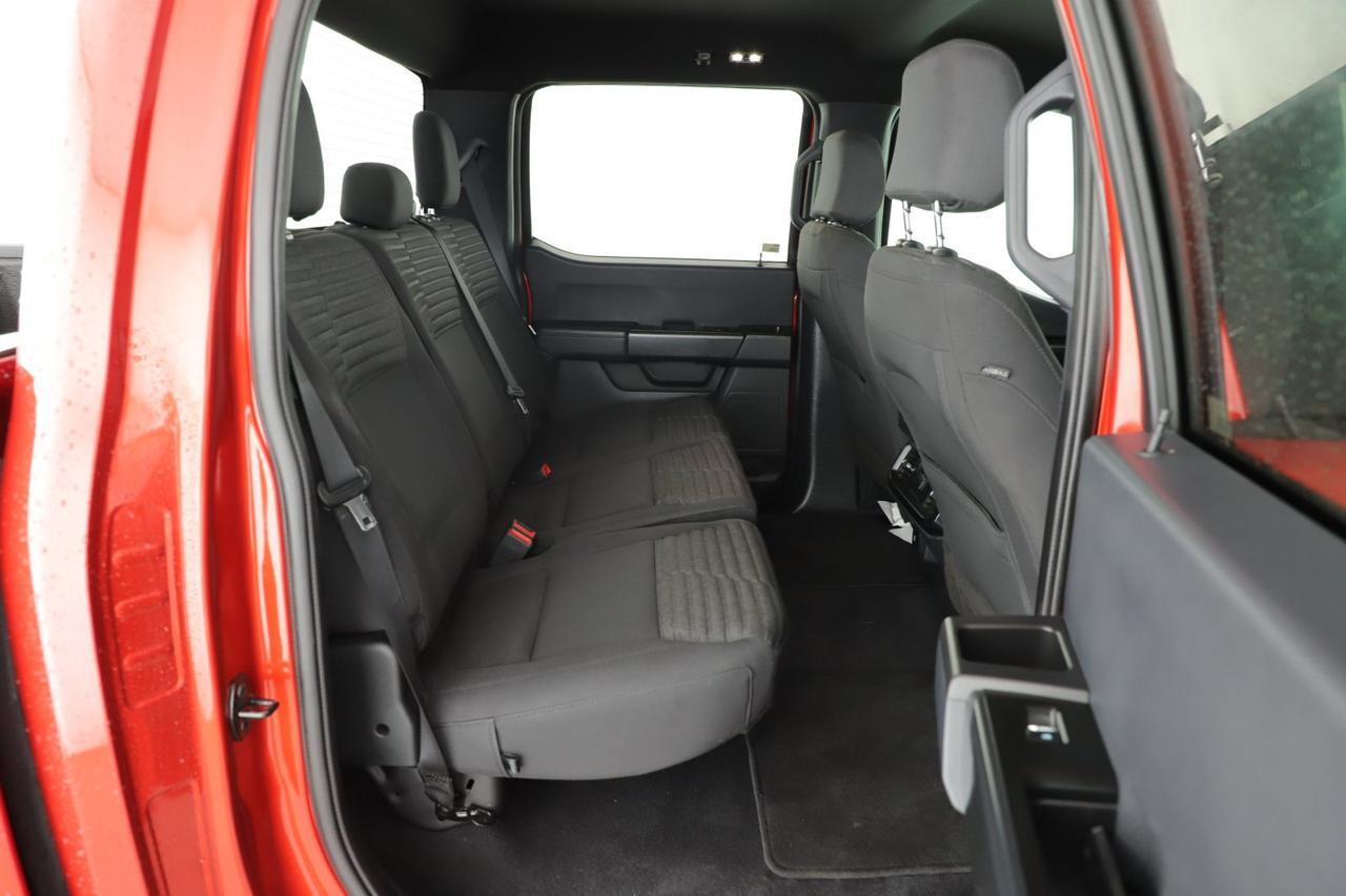 2023 Ford F-150 STX New Braunfels TX