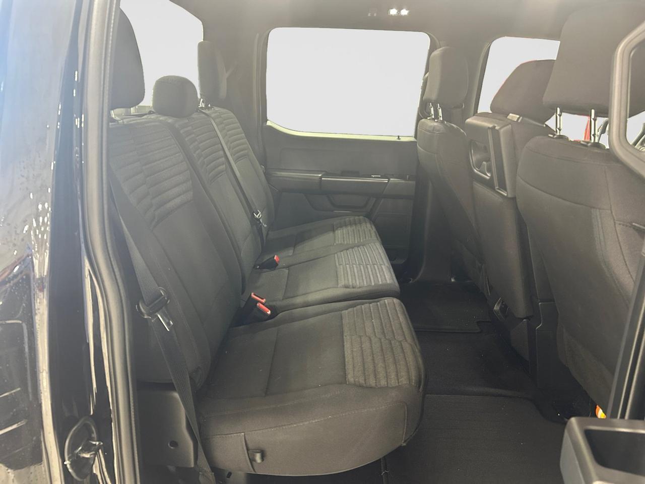 2023 Ford F-150 STX New Braunfels TX