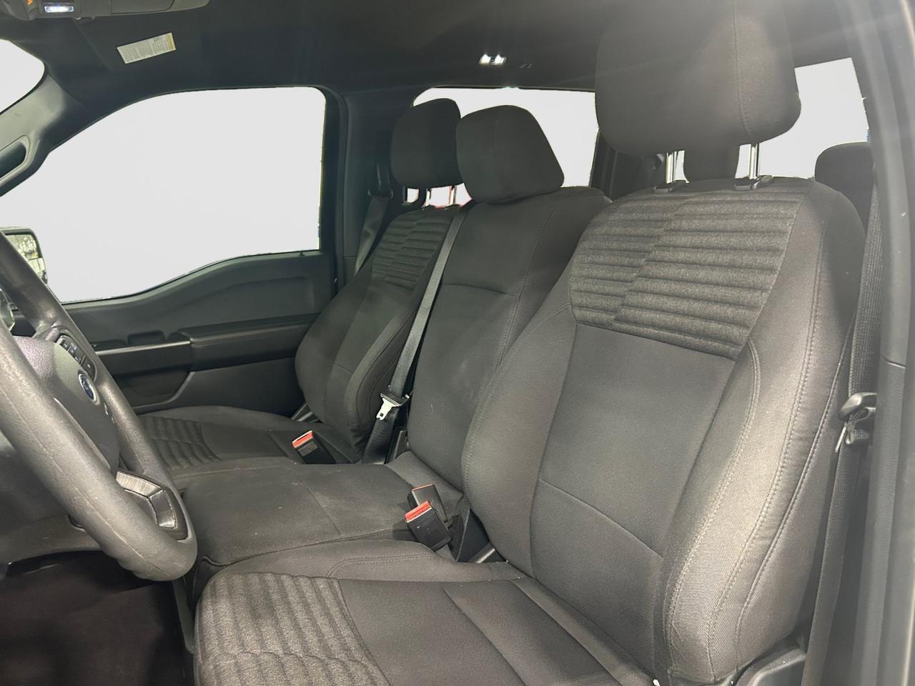 2023 Ford F-150 STX New Braunfels TX