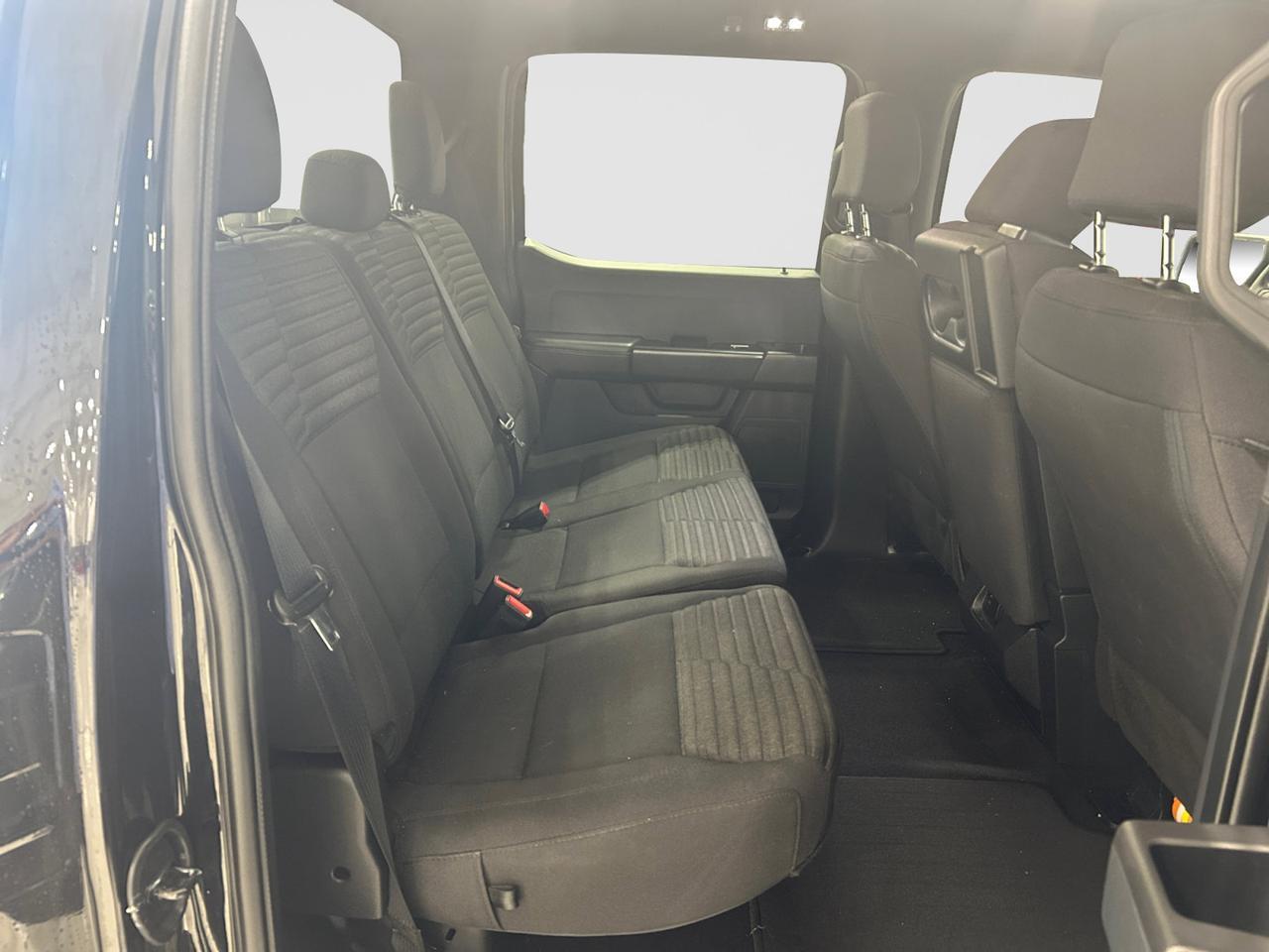 2023 Ford F-150 STX New Braunfels TX