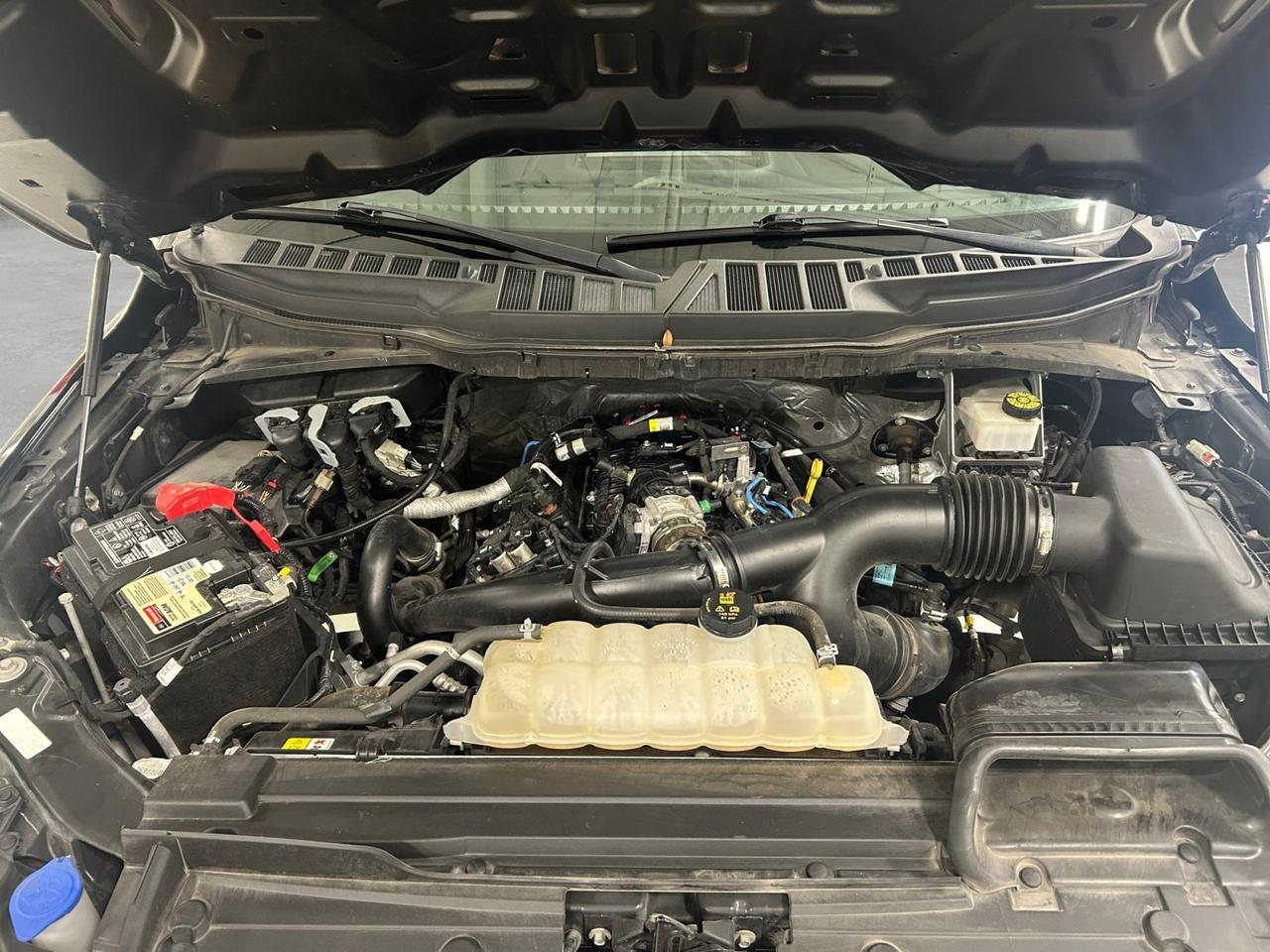 2023 Ford F-150 STX New Braunfels TX