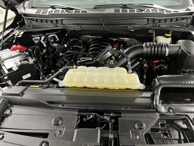 2023 Ford F-150 Tremor Loveland CO