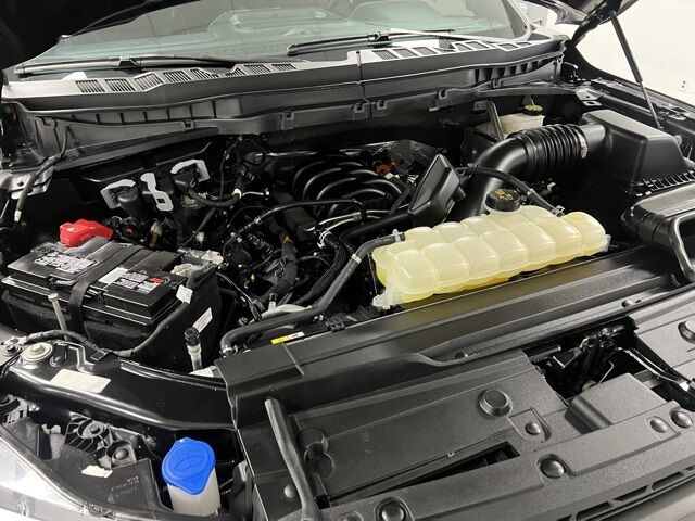 2023 Ford F-150 Tremor Loveland CO