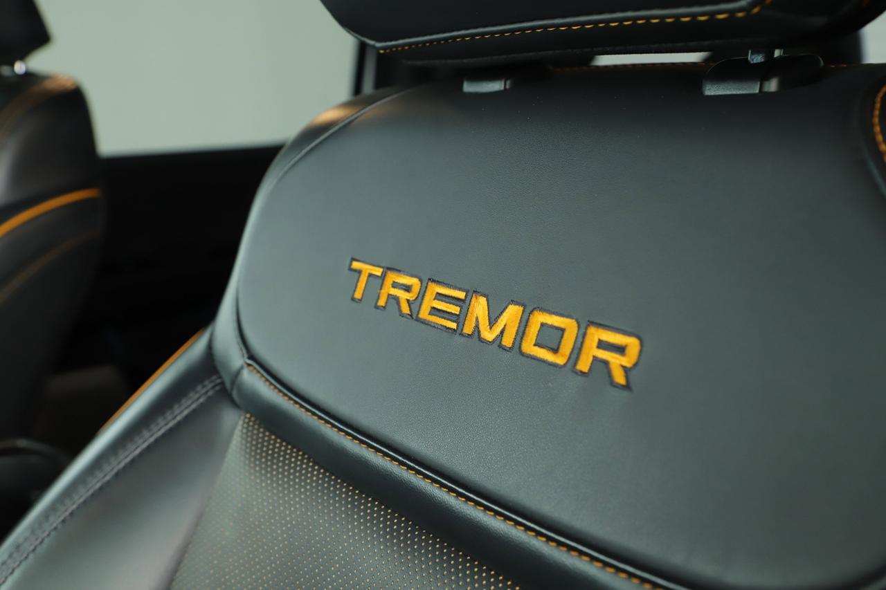 2023 Ford F-150 Tremor New Braunfels TX