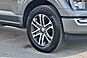 2023 Ford F-150 XL  TX 2023 Ford F-150 XL  TX