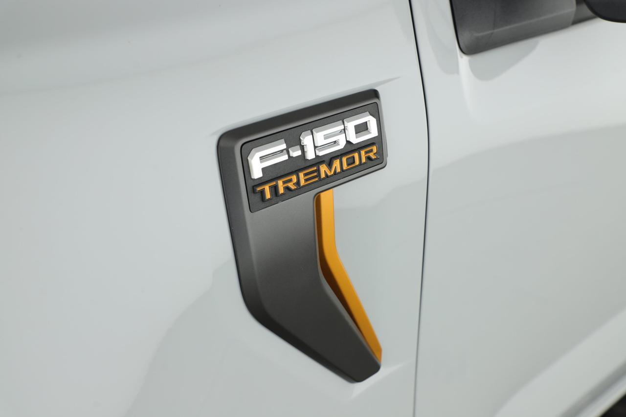 2023 Ford F-150 XL New Braunfels TX