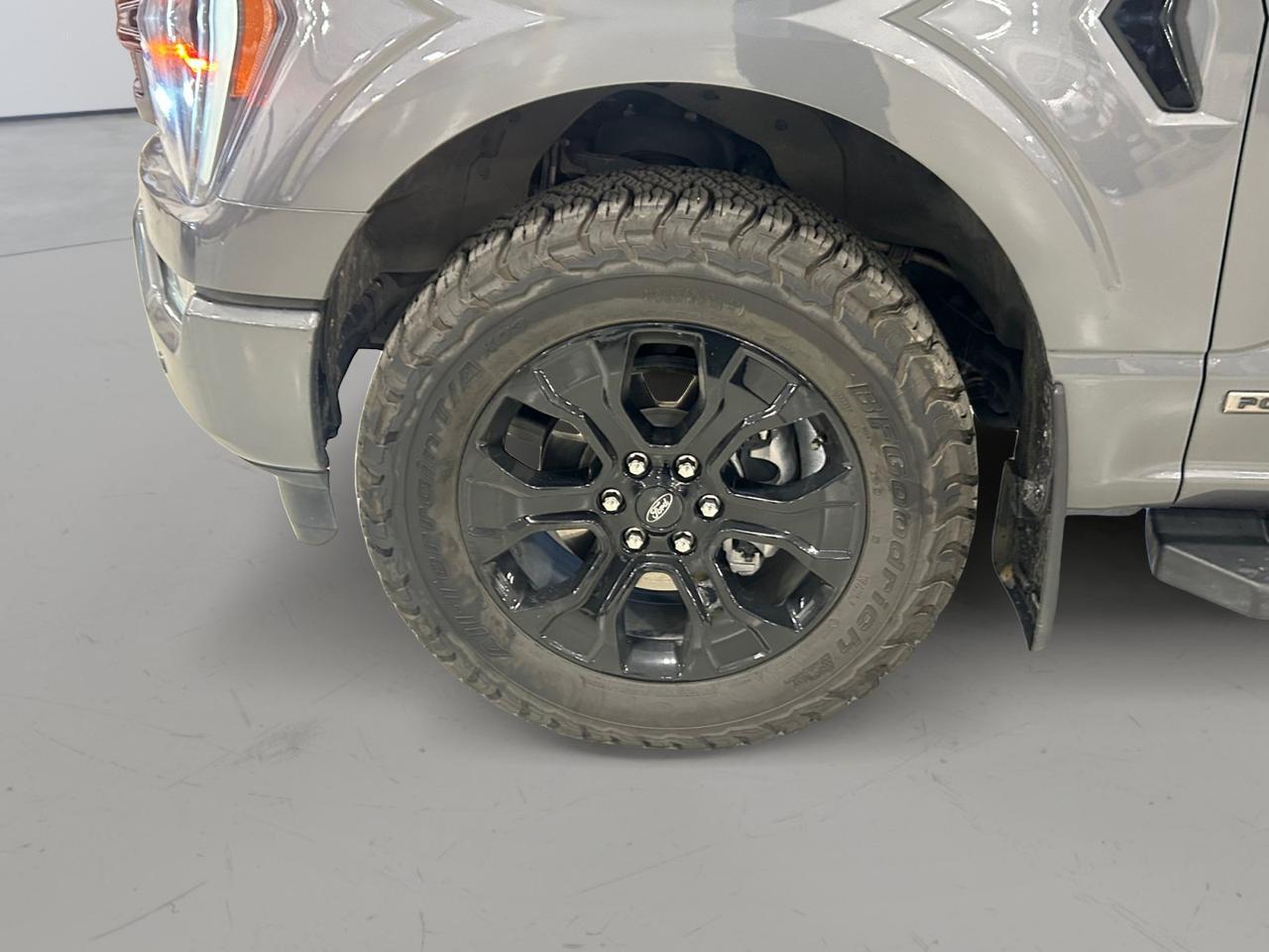 2023 Ford F-150 XL New Braunfels TX