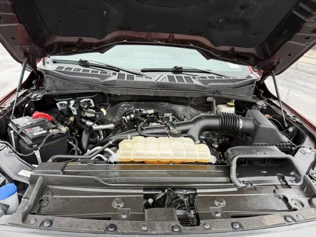 2023 Ford F-150 XL New Braunfels TX