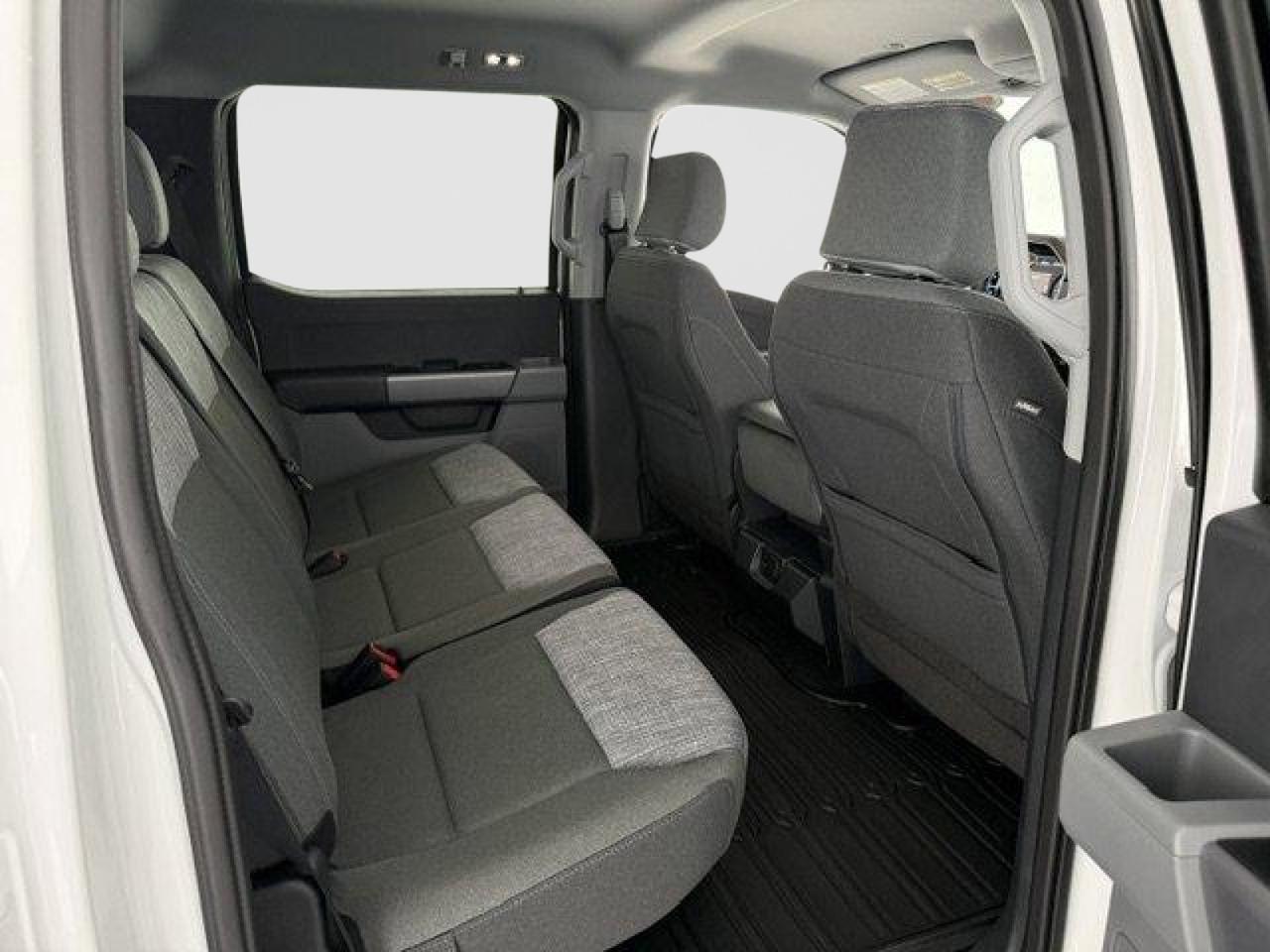 2023 Ford F-150 XL New Braunfels TX