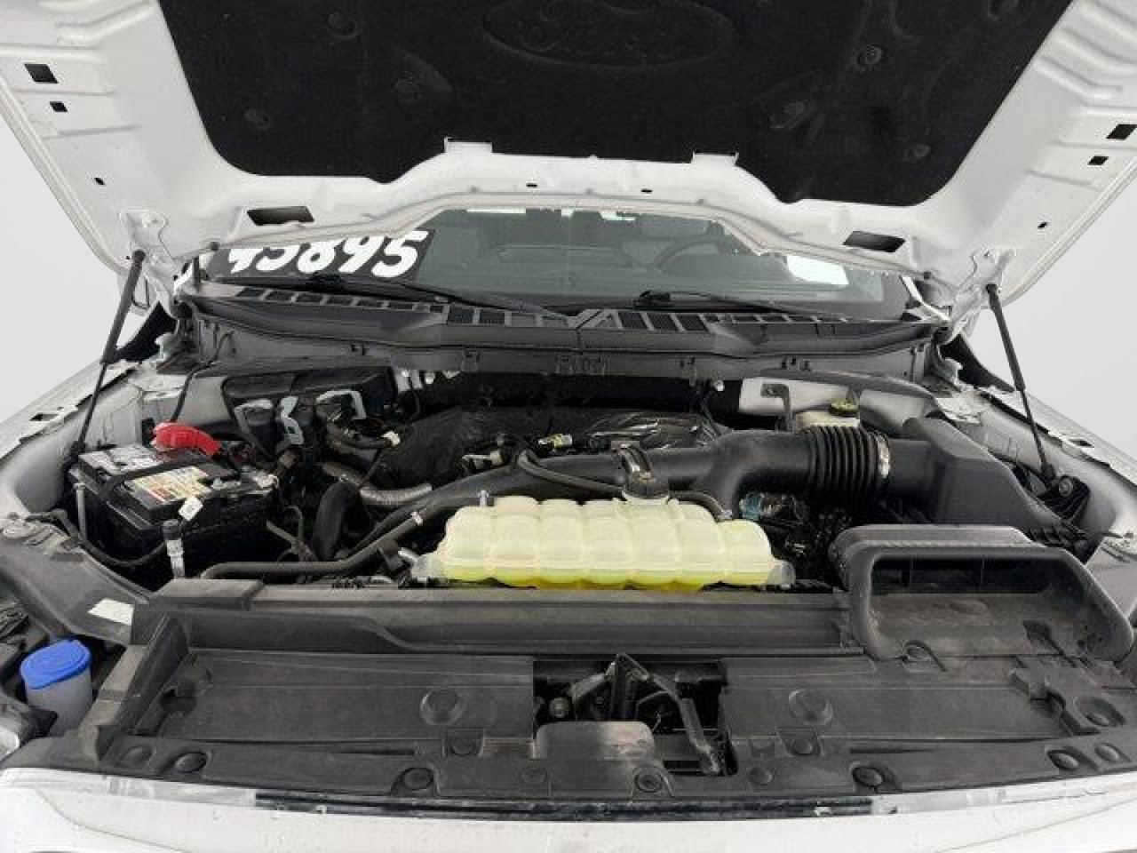 2023 Ford F-150 XL New Braunfels TX