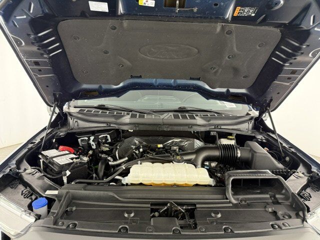 2023 Ford F-150 XL New Braunfels TX