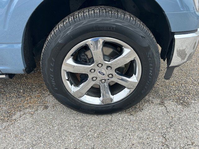 2023 Ford F-150 XL New Braunfels TX