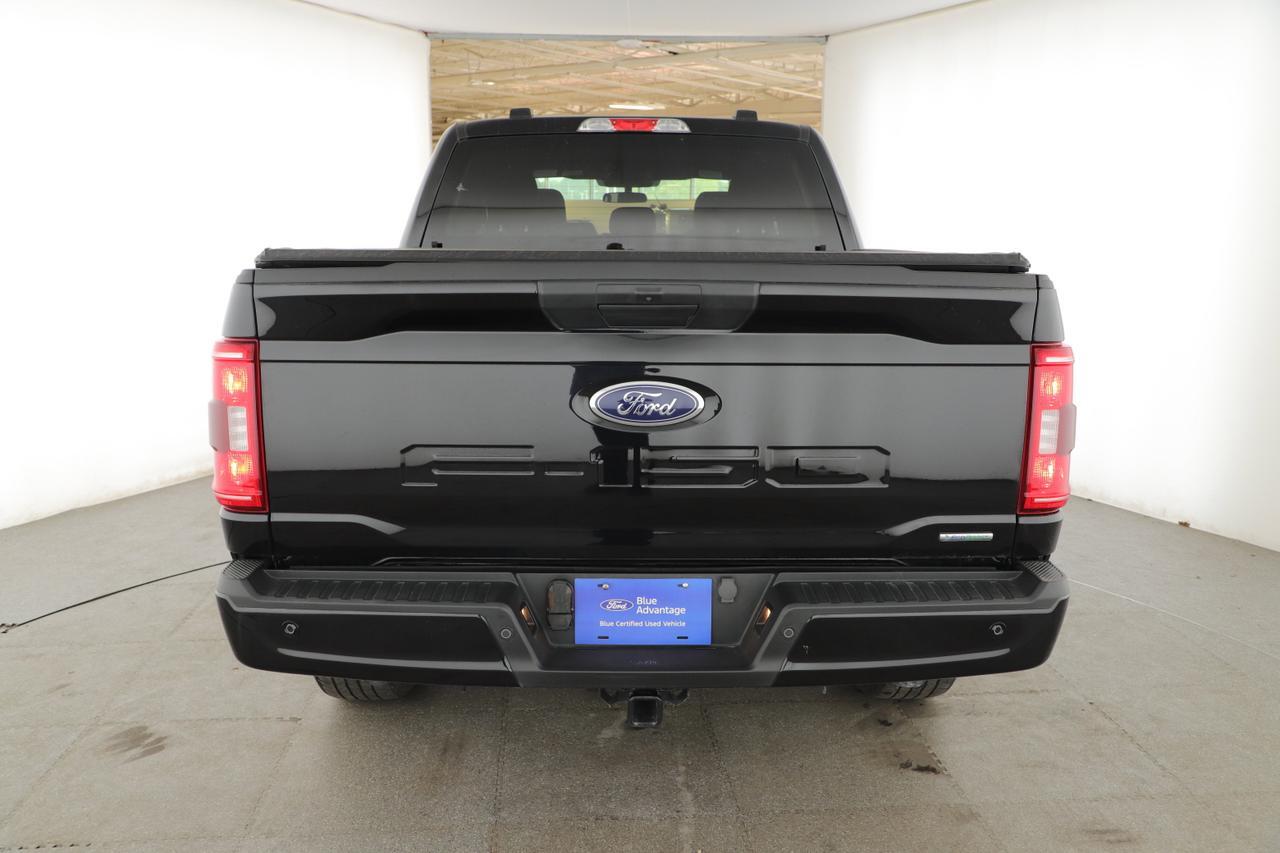 2023 Ford F-150 XL New Braunfels TX