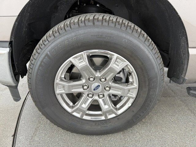 2023 Ford F-150 XL New Braunfels TX
