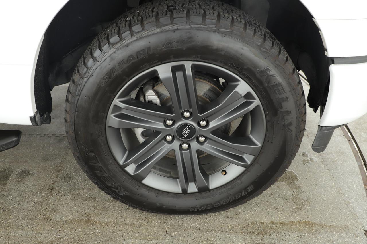 2023 Ford F-150 XL New Braunfels TX