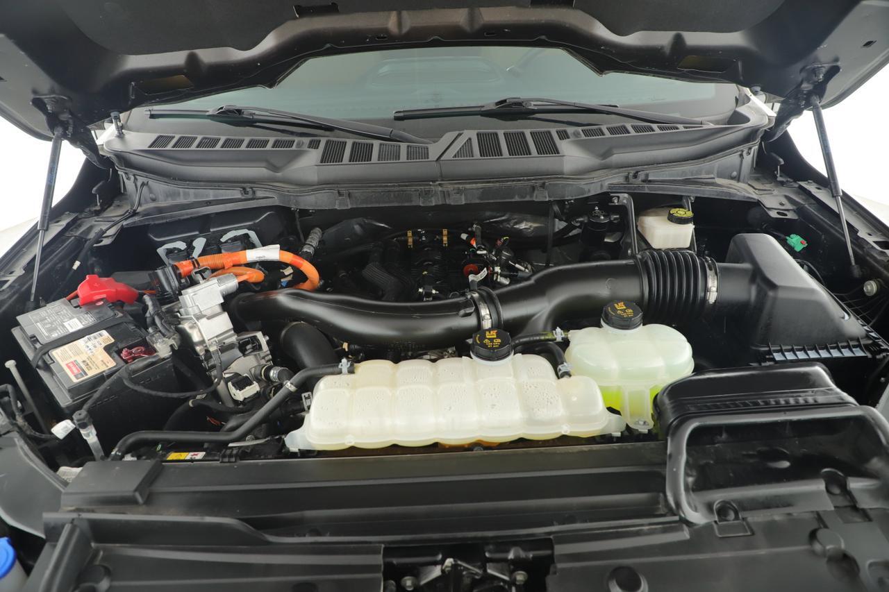 2023 Ford F-150 XL New Braunfels TX