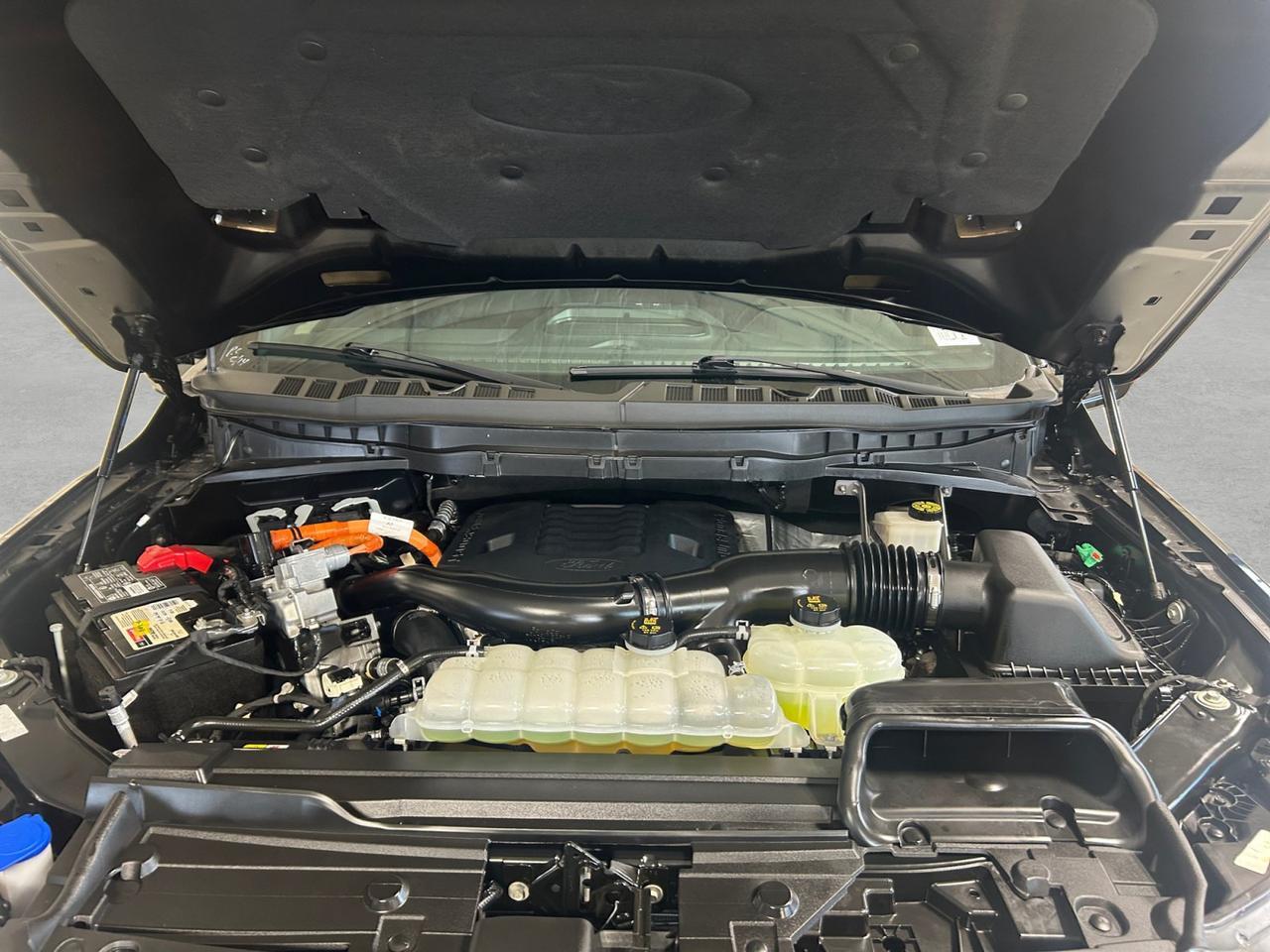2023 Ford F-150 XL New Braunfels TX
