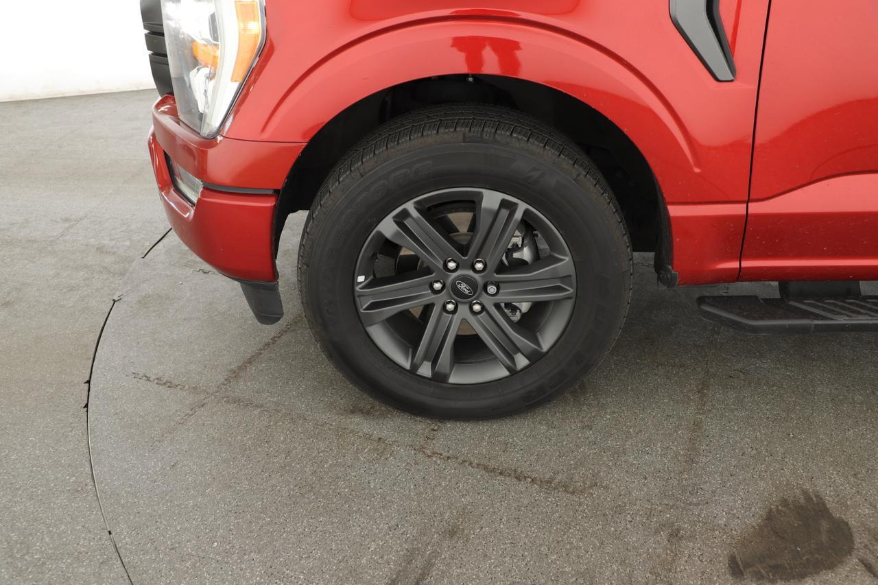 2023 Ford F-150 XL New Braunfels TX