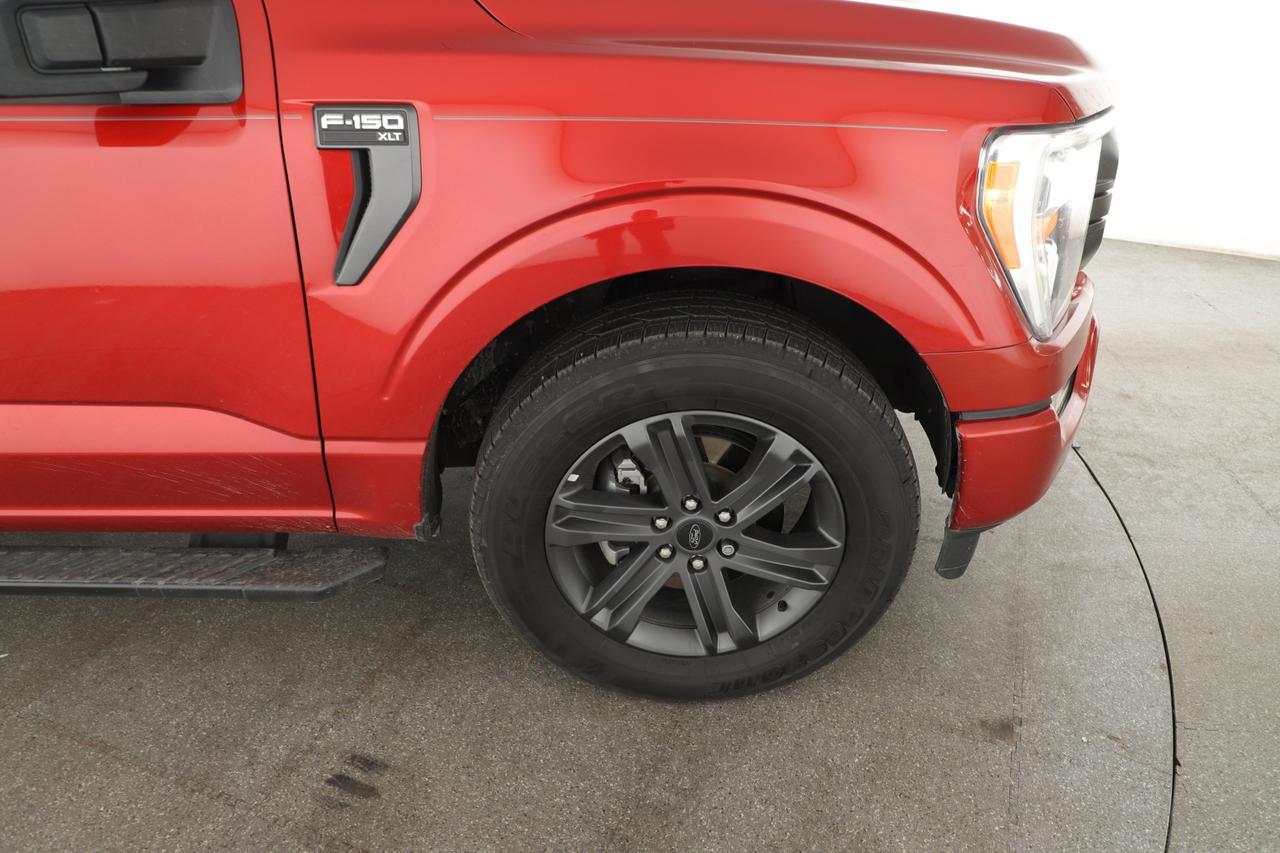 2023 Ford F-150 XL New Braunfels TX
