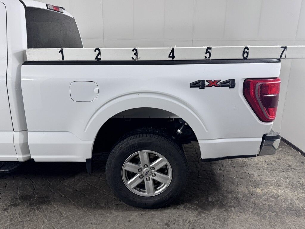 2023 Ford F-150 XLT 4WD SuperCrew w/Medium Bed Maumee OH