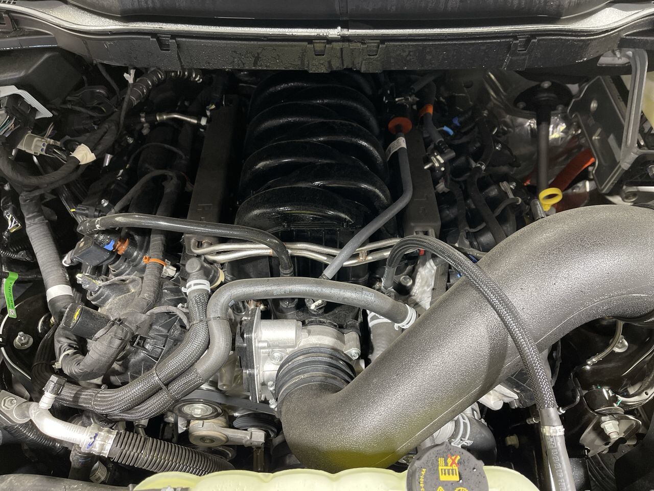 2023 Ford F-150 XLT 4X4 - Roush Package Sherwood Park AB