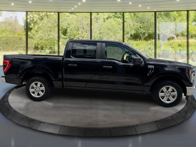 2023 Ford F-150 XLT Houston TX